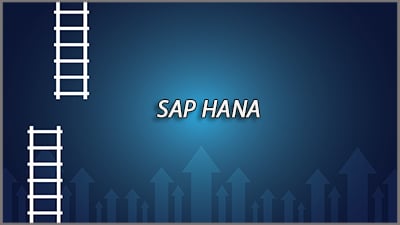 Building the Business Case for SAP HANA